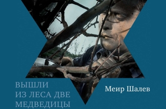 Летние чтения Отрывки из книги М. Шалева Роман Вебер