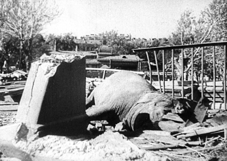 Слоновник после налета. 10 сентября 1941. Фото из открытых источников
