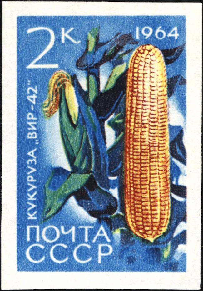 Почтовая марка, 1964. Сельскохозяйственные культуры СССР. Кукуруза сахарная. Открытый источник