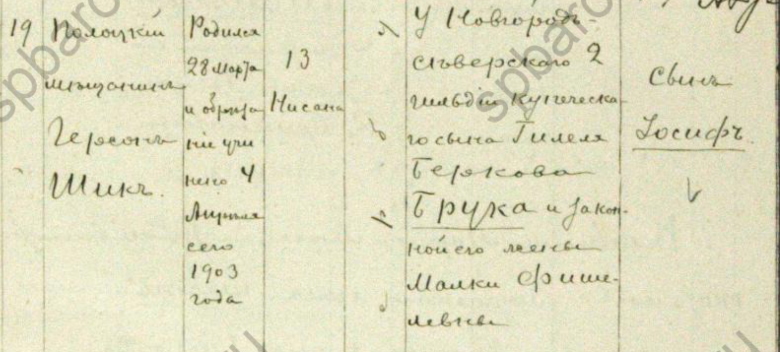 Лужское еврейское кладбище евреи Луги исследования Ксении Черновой