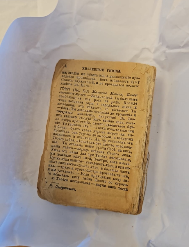 Лужское еврейское кладбище евреи Луги исследования Ксении Черновой