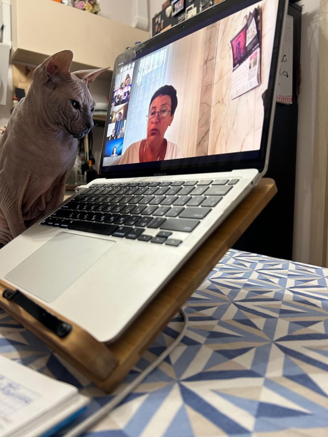 &nbsp; Лела учит иврит в компании с котиками: Тайсоном и Ванессой