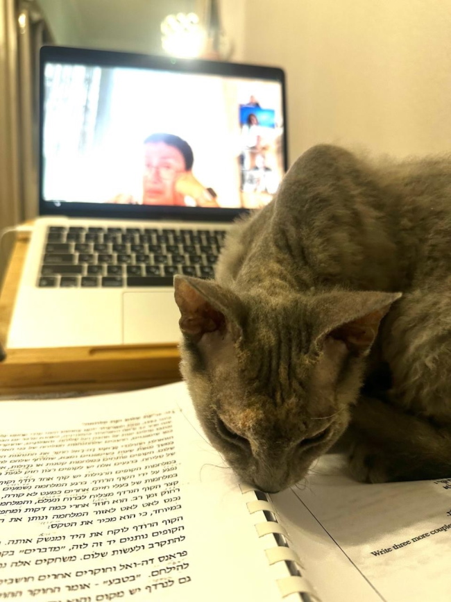 &nbsp; Лела учит иврит в компании с котиками: Тайсоном и Ванессой