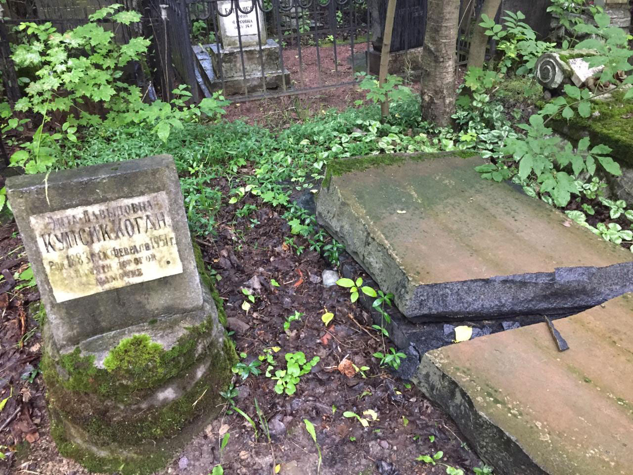 еврейское кладбище воронеж фото