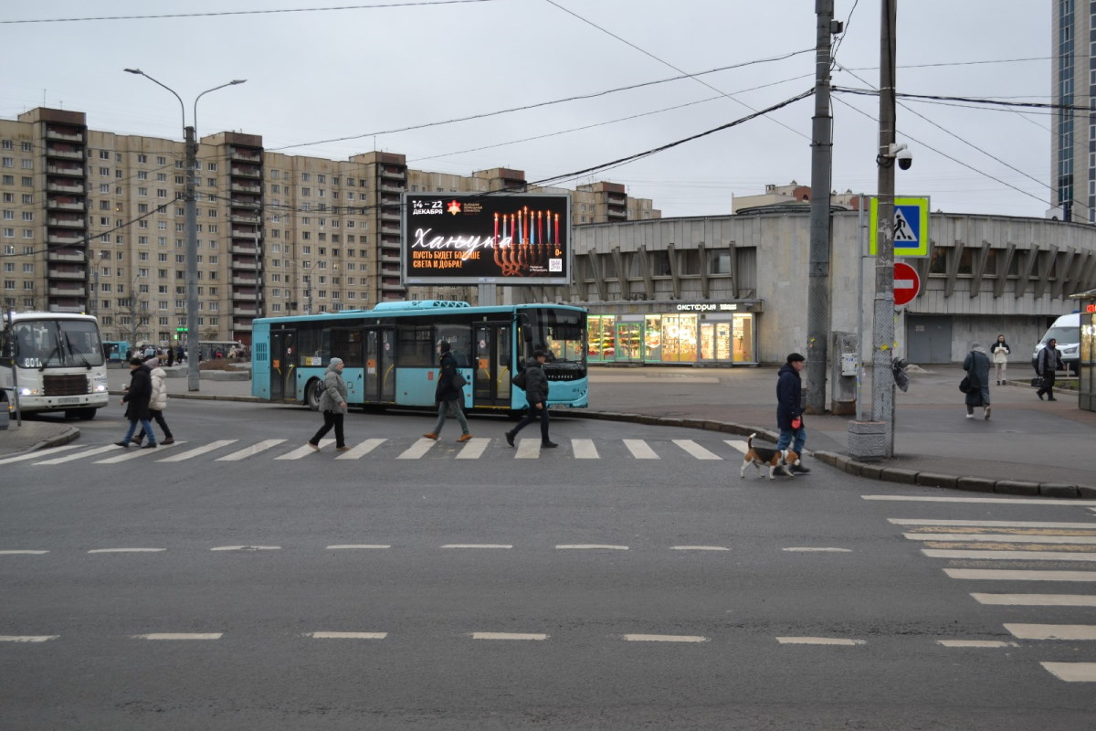  Коллонтай ул. д. 20 /  Пятилеток пр. (ст м. Пр. Большевиков)