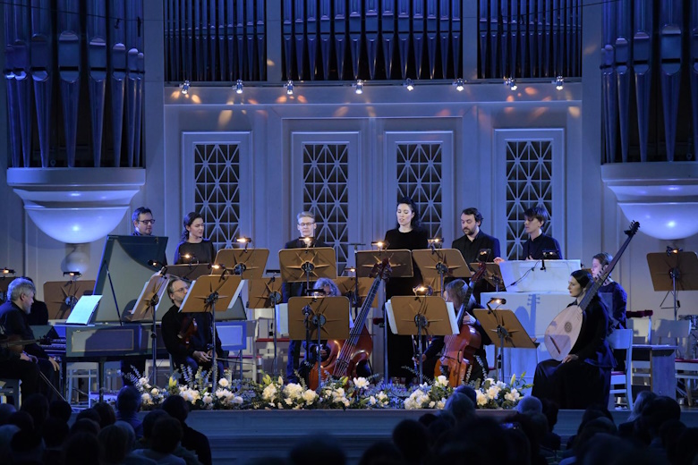 Желтые звезды