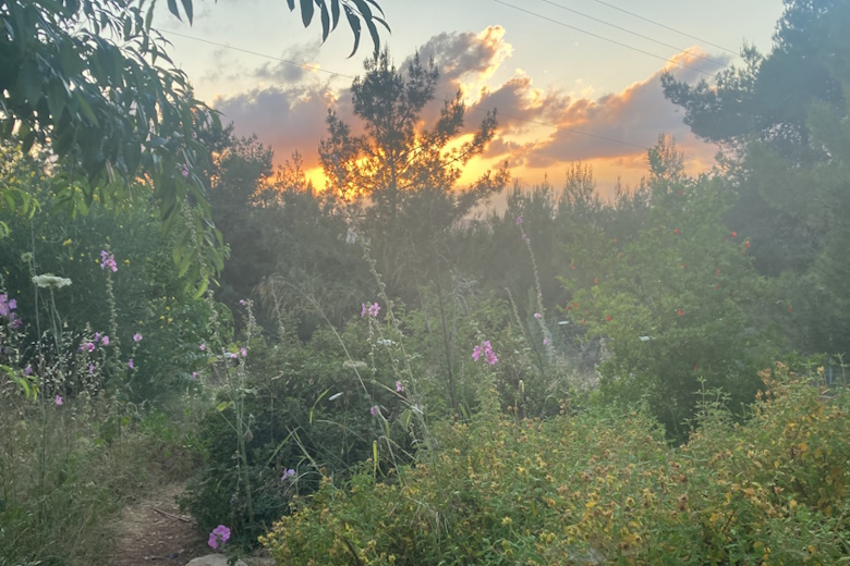 Сгулот месяца Нисан колонка р Александра Цви Сыпкова